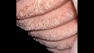 Mr. Monster Man simply ravishing blueeyedSavage with his big dick.